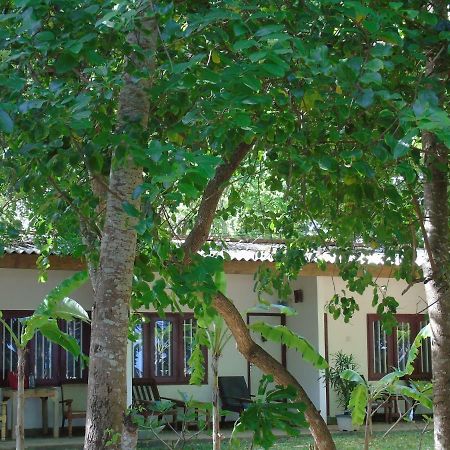 Talalla Coconut Hotel 외부 사진