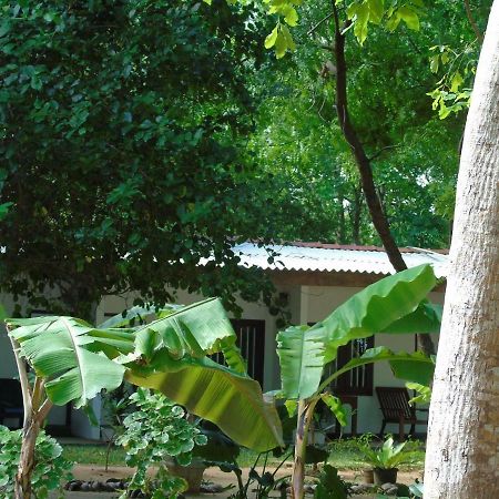 Talalla Coconut Hotel 외부 사진