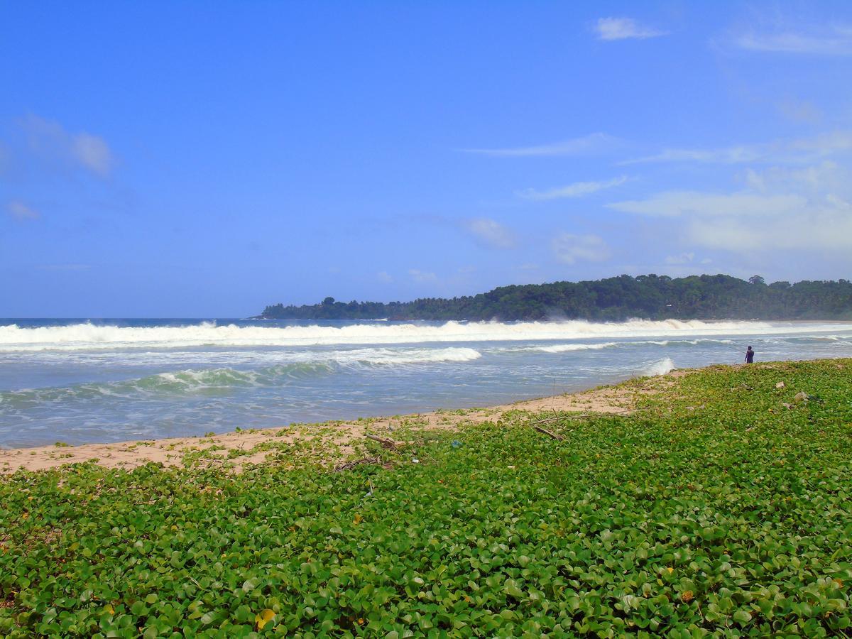 Talalla Coconut Hotel 외부 사진