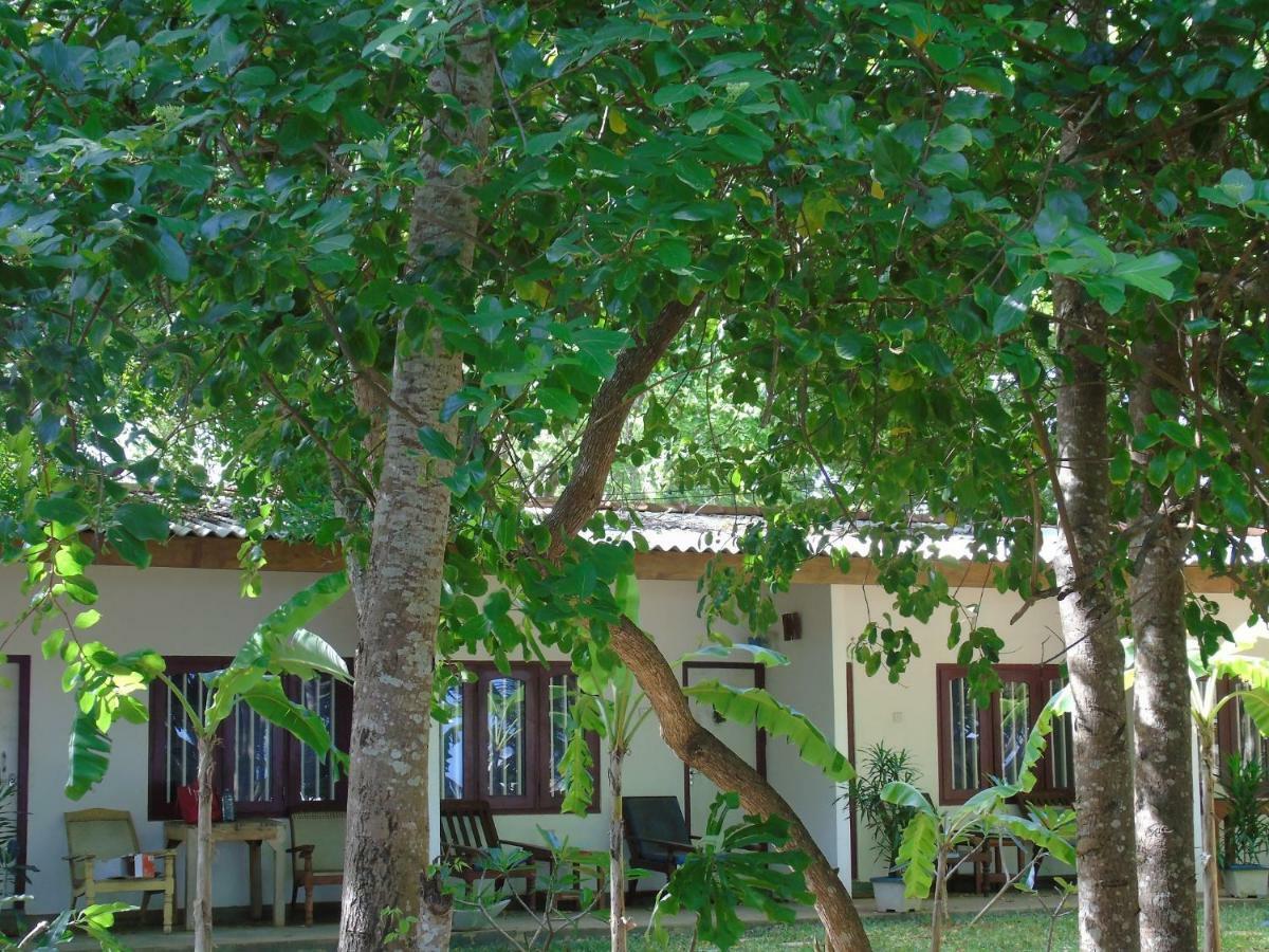 Talalla Coconut Hotel 외부 사진