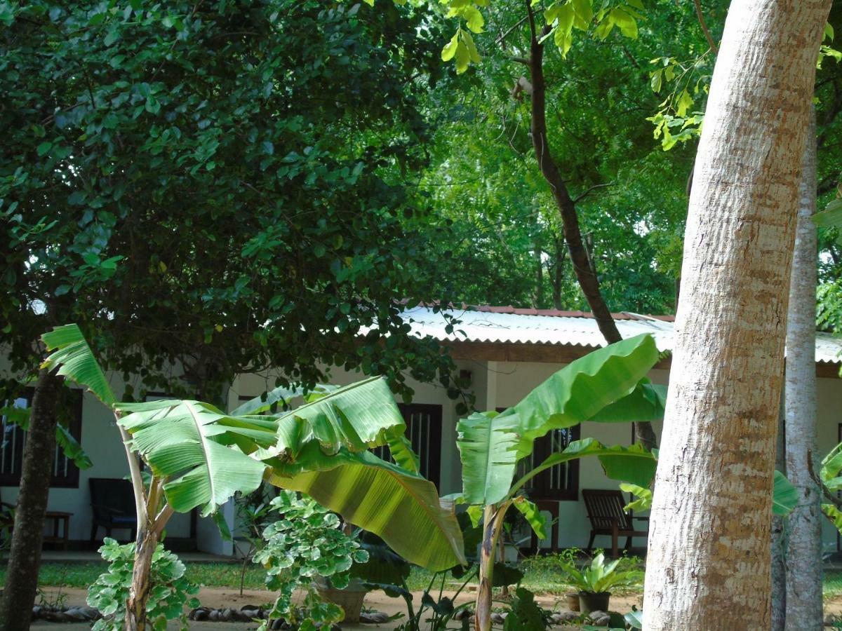 Talalla Coconut Hotel 외부 사진