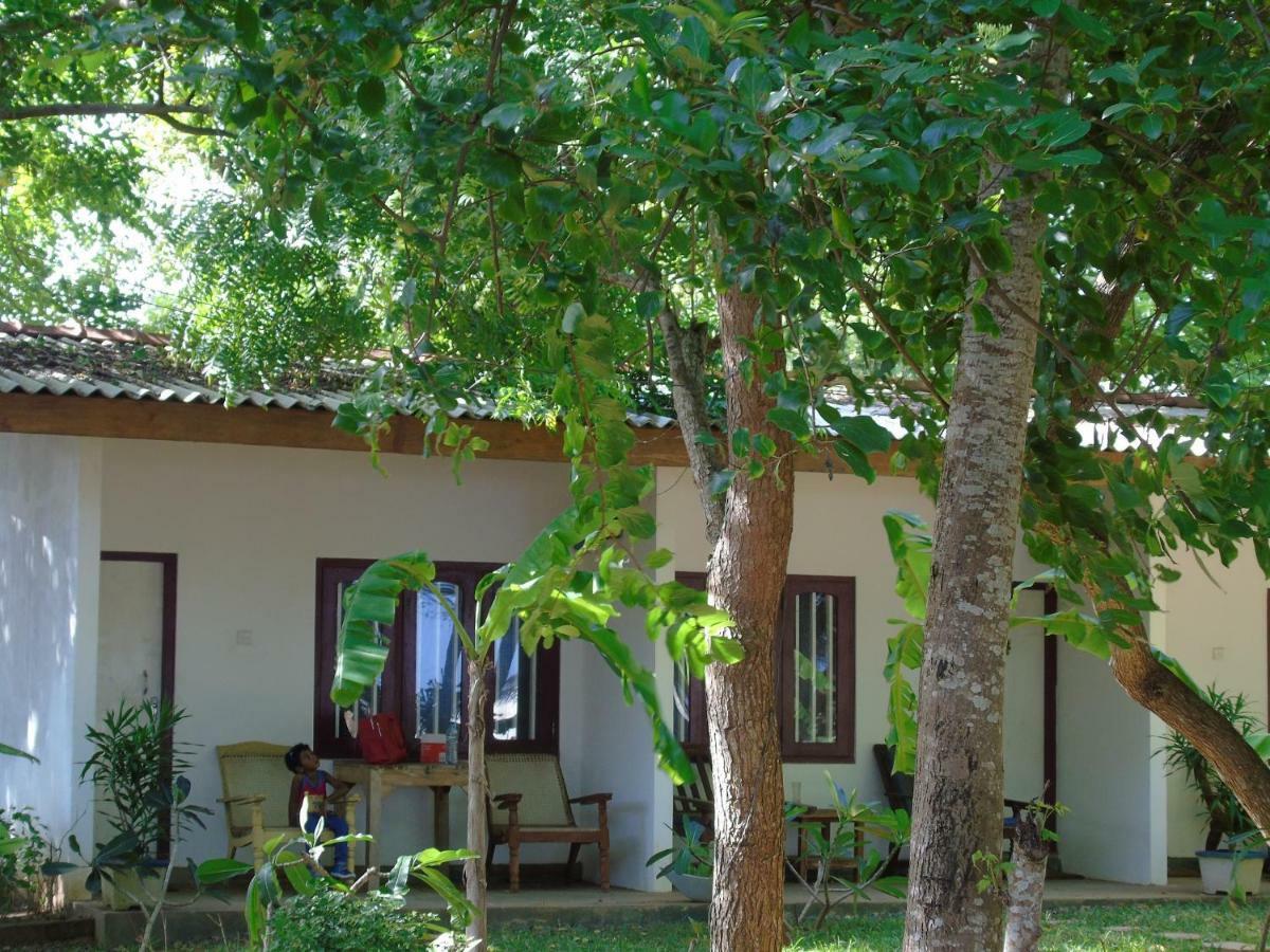 Talalla Coconut Hotel 외부 사진